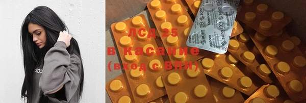spice Богородицк