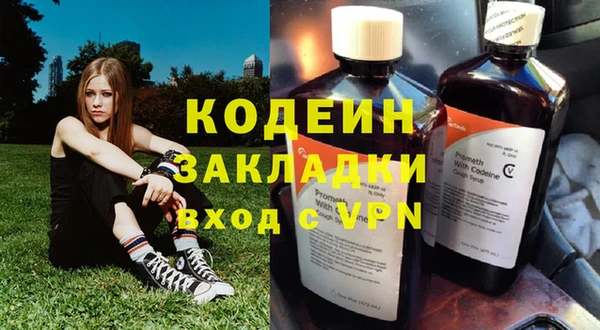 spice Богородицк