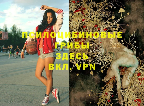 кокс Богданович