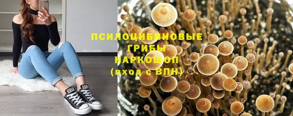 MESCALINE Богородск