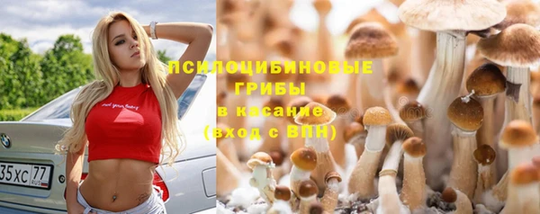 spice Богородицк