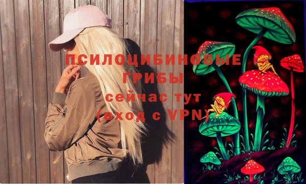 jwh Бородино