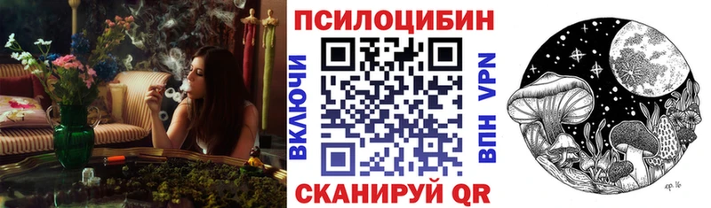 Галлюциногенные грибы прущие грибы  Новоржев 